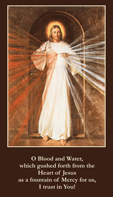 Divine Mercy Magnet